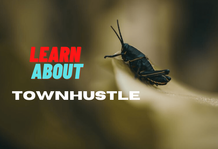 About TownHustle