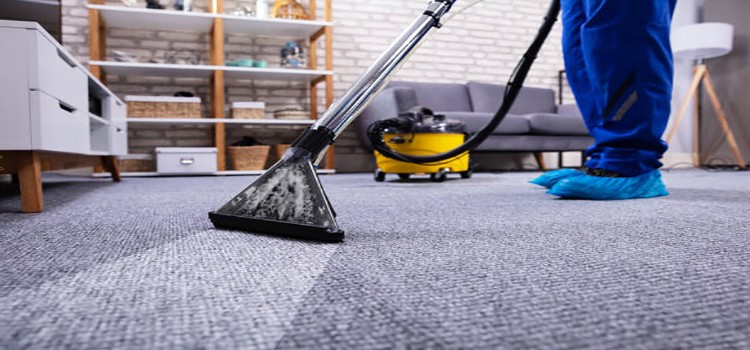 A rental carpet cleaner can bring bed bugs into your home