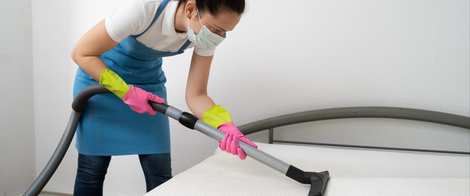 Getting Rid Of Bed Bugs In Your Mattress A StepByStep Guide Townhustle