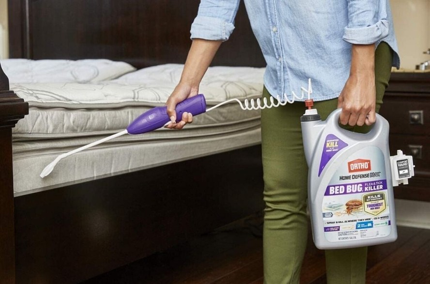 Bed Bug Spray All You Need To Know Townhustle