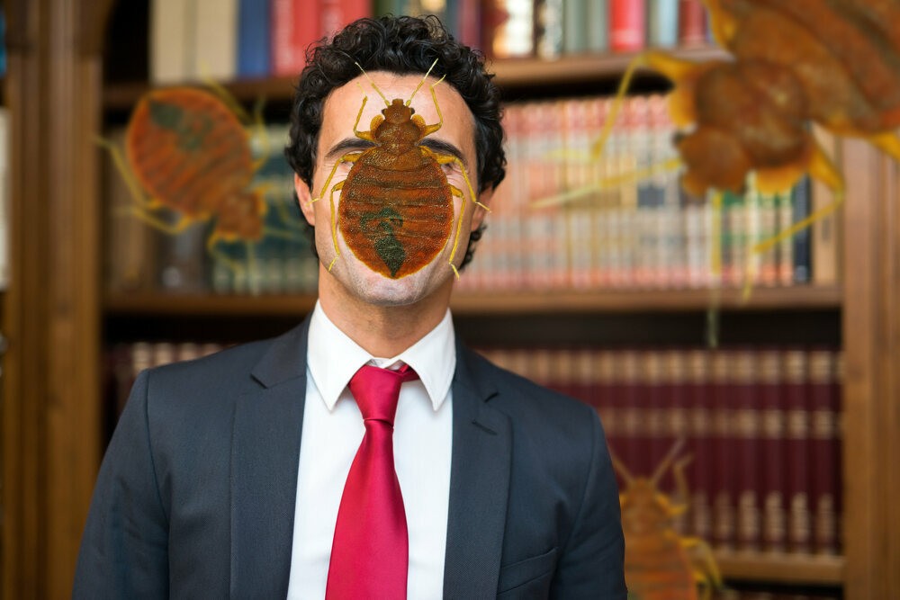 Bed Bug Lawsuits Know Your Rights. Townhustle